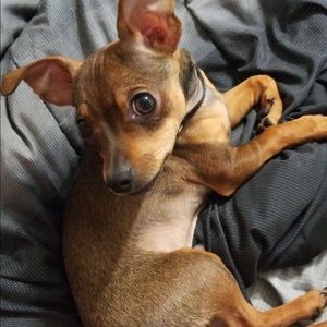 Meet your Posher, Alexey